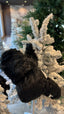 Oso Negro Med 66 cms