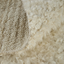Ashby 8907F - Beige Ivory