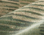 Eden 39QYF - Green