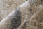 Richmond 39R7F - Gray Brown