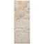 Aura 3727F - Beige Gold