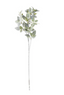 Tallo de Fittonia brillos y white Berries 91.5 cms