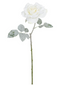 Rosa blanca nevada 61 cms