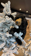 Oso Negro Ch 46 cms
