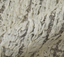 Ashby 8906F - Ivory Gray