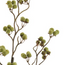 Rama pompom berries verde 89 cms