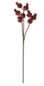 Tallo de granadas 73 cms