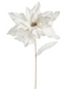 Nochebuena ivory c oro 81 cms