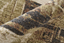 Pearson 39STF- Beige / Green