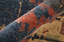 Pearson 39SQF- Dark Blue / Rust