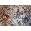 Gilmore - Ivory Multi HS 1.60x2.44 m