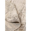 Parker 3719F - Silver Beige