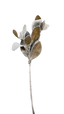 Ramo de Hojas Magnolias nevada 71 cms